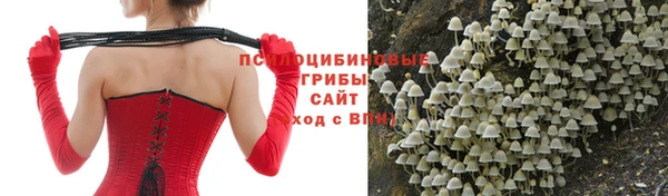 синтетический гашиш Няндома
