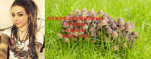 синтетический гашиш Няндома