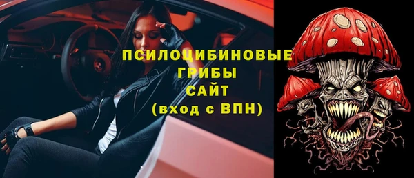 spice Нягань