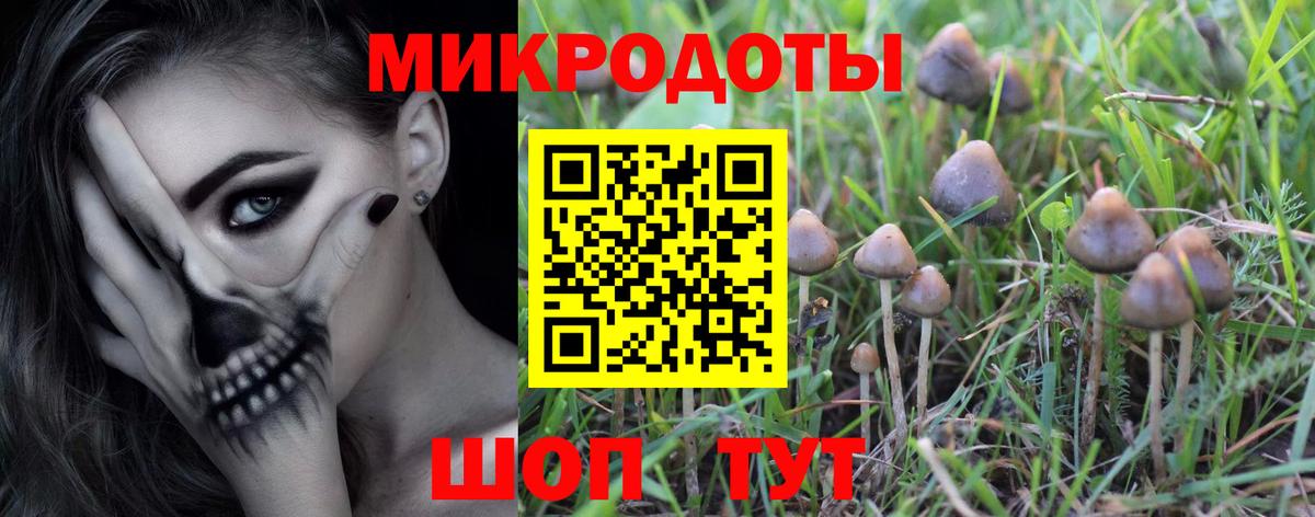 Псилоцибиновые грибы мухоморы Азнакаево
