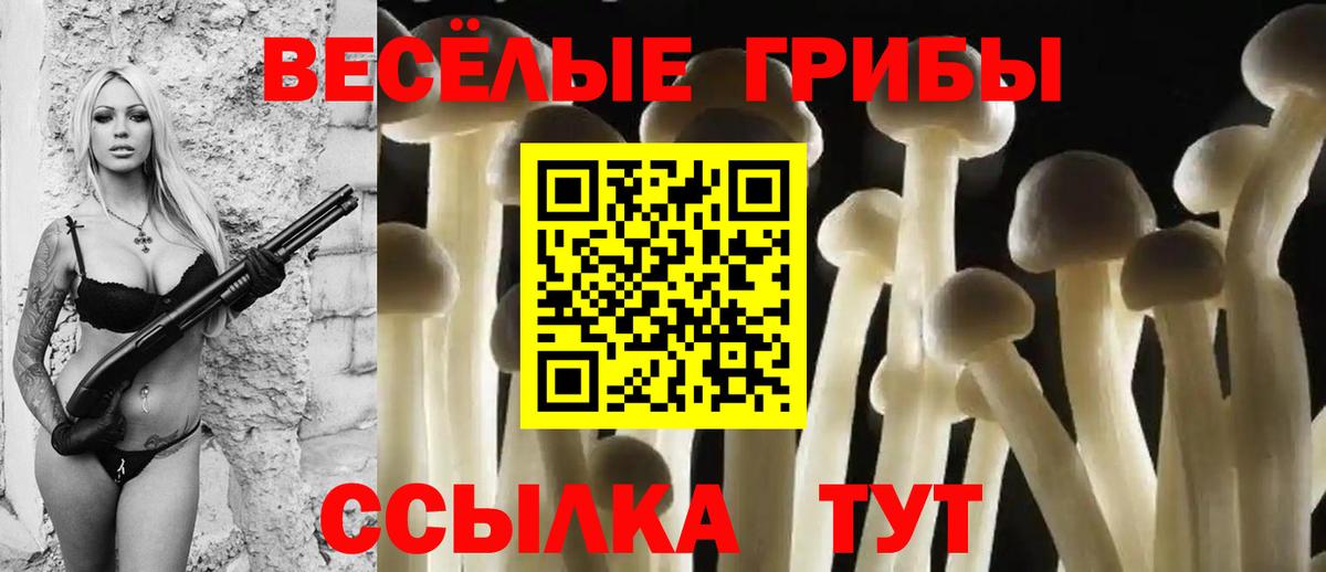 Галлюциногенные грибы мицелий Азнакаево