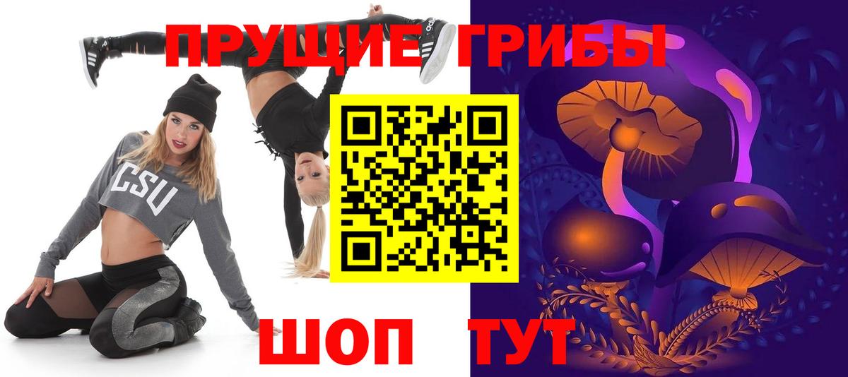 Галлюциногенные грибы Psilocybe  Азнакаево  Псилоцибиновые грибы прущие грибы 