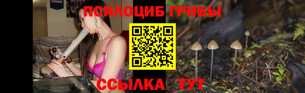 где найти   Вход с VPN  Азнакаево  Галлюциногенные грибы Cubensis  Галлюциногенные грибы ЛСД 