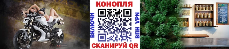 Бошки марихуана OG Kush Азнакаево